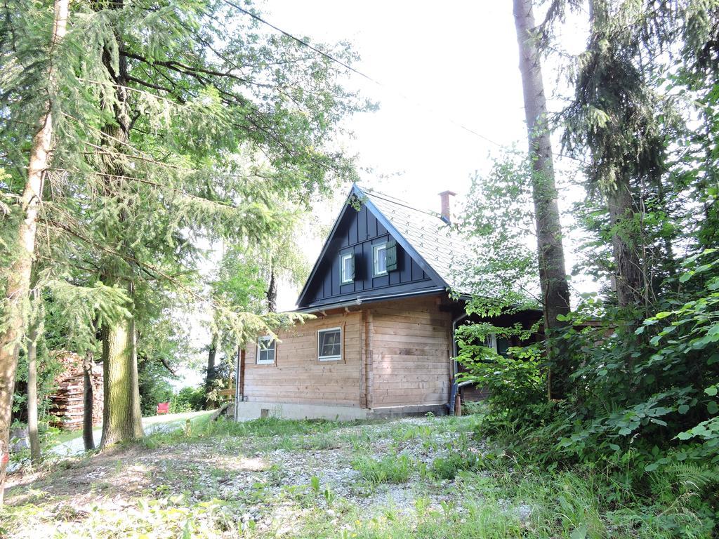 Gregor'S Ferienhaus Im Wald Villa Edelschrott Exterior photo