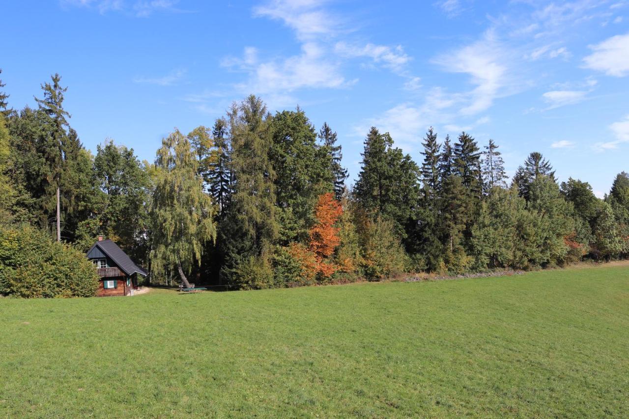 Gregor'S Ferienhaus Im Wald Villa Edelschrott Exterior photo